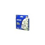 Epson T0541 Photo Black Ink Cartridge (Genuine)